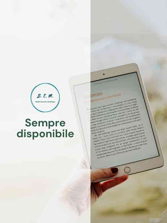 Introduzione al BEM